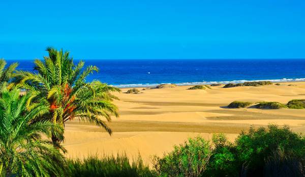 Relax on the Canary Island beaches